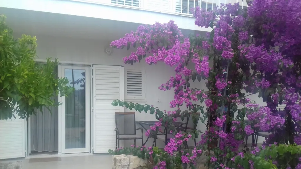 Ivy Garden Beach Apartment 1