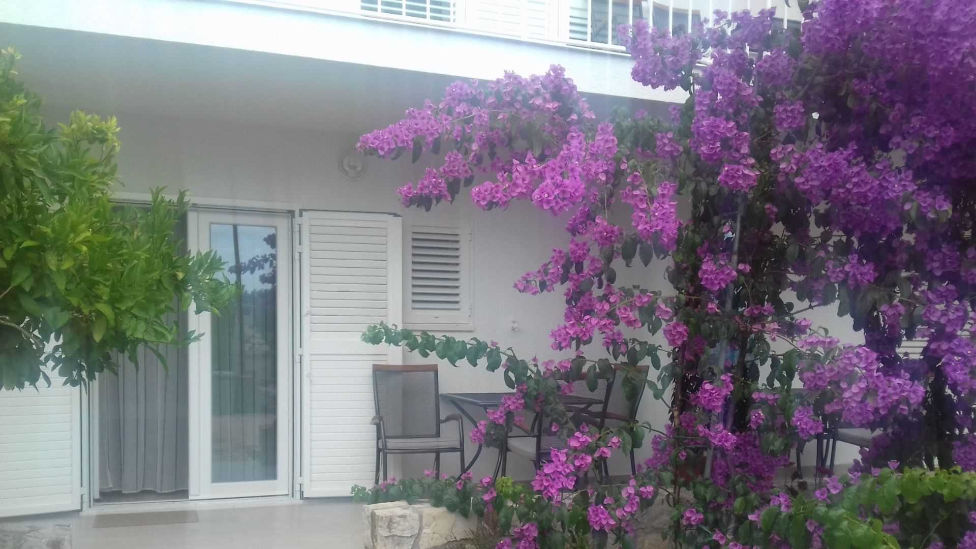 Image of Ivy Garden Beach Apartment 1