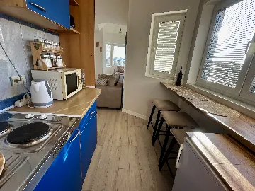 Studio Apartment for 3 Guests in Vir