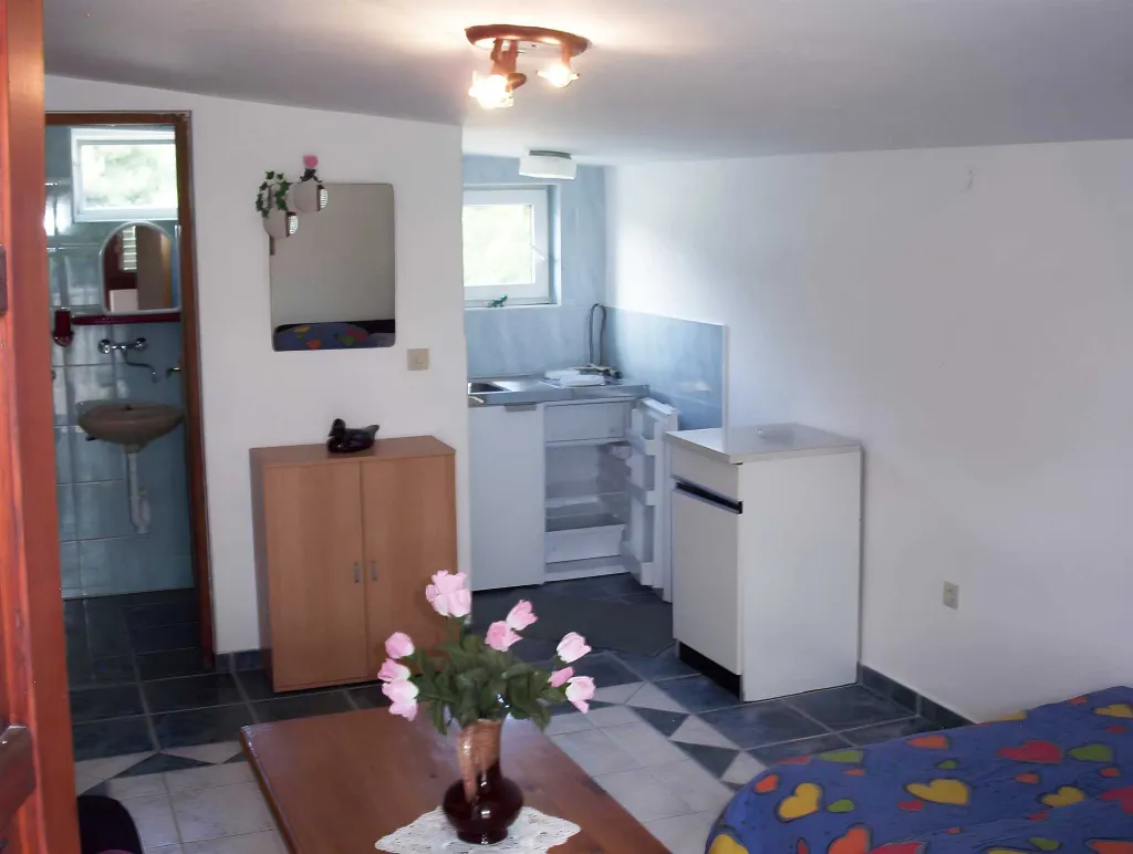 Studio Apartment for 2 in Vir with Terrace