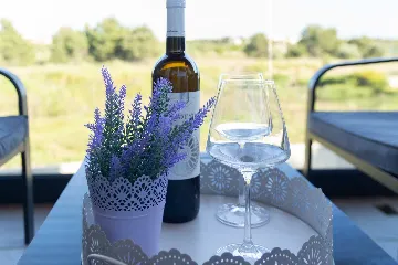 Privlaka Apartment near the Beach for 6 Guests