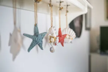 Apartment with Sea View in Nin for 4 Guests