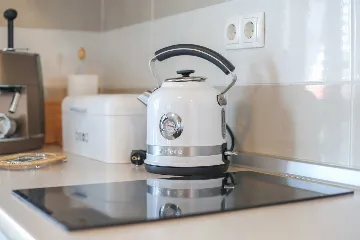 Apartment with Sea View in Nin for 4 Guests