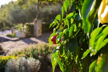 Baška Voda Holiday House with Jacuzzi for 2