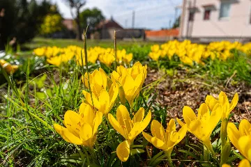 Holiday House in Suhovare for Up to 14 Guests