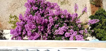 Studio Apartment in Vodice with Balcony Sea View