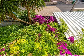 1-Bedroom Apartment for 4 Guests in Novalja