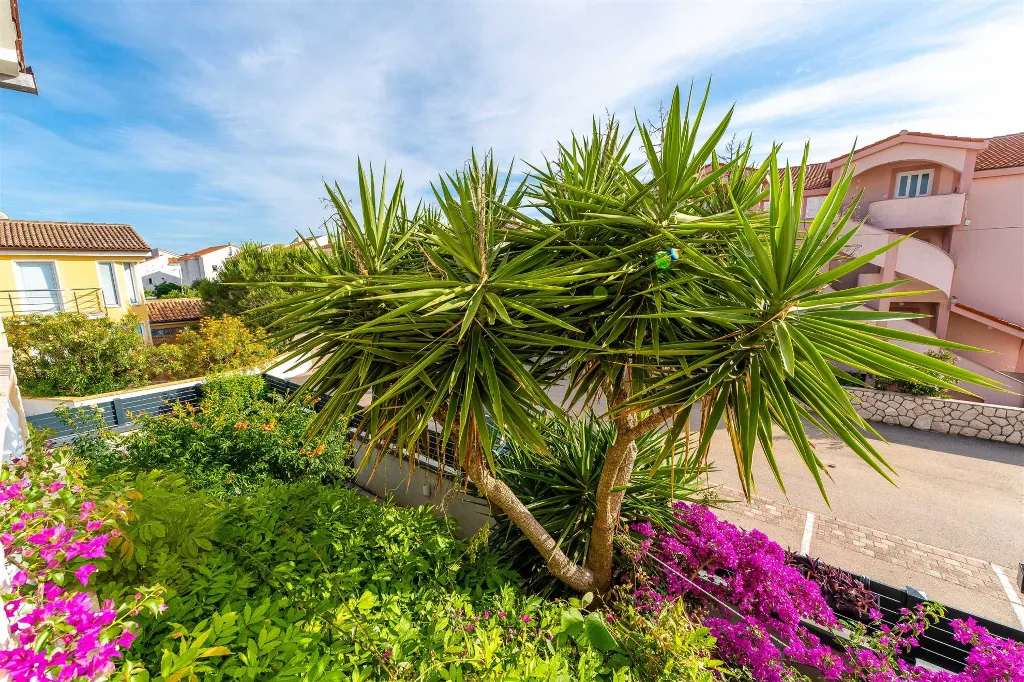1-Bedroom Apartment for 4 Guests in Novalja
