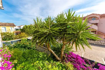 1-Bedroom Apartment for 4 Guests in Novalja