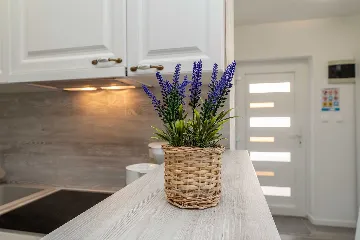 Novalja 2-Bedroom Apartment with Parking