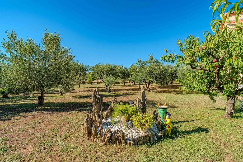 1-Bedroom Apartment in Nin with Balcony