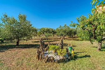 One-Bedroom Apartment in Nin with Balcony
