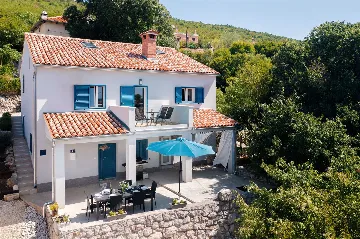 Holiday House with Private Pool and Sea Views, Viškovići
