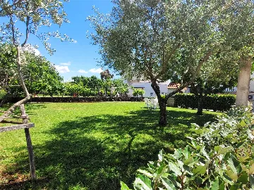 Family Apartment with Balcony in Malinska