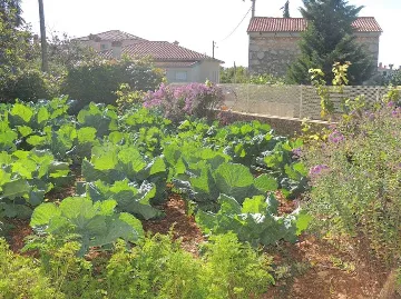 1-Bedroom Apartment with Terrace in Gabonjin