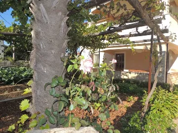 1-Bedroom Apartment with Terrace in Gabonjin