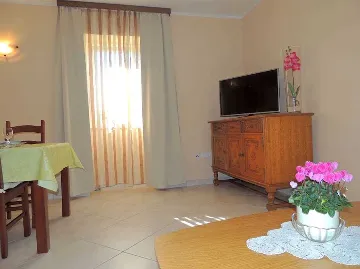 1-Bedroom Apartment with Terrace in Gabonjin