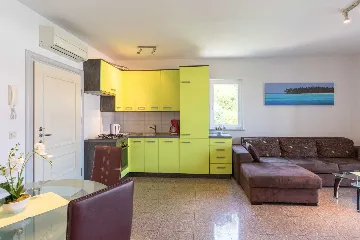 Malinska Villa for Two Families with Private Pool