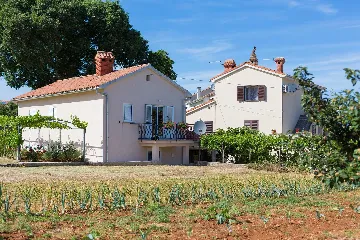 Apartment in Vantačići for 3 Guests with Balcony