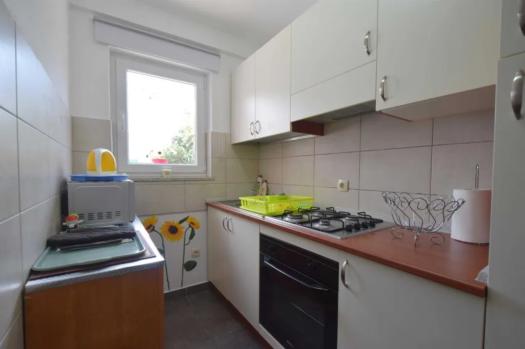 Air-Conditioned Studio Apartment in Rasopasno
