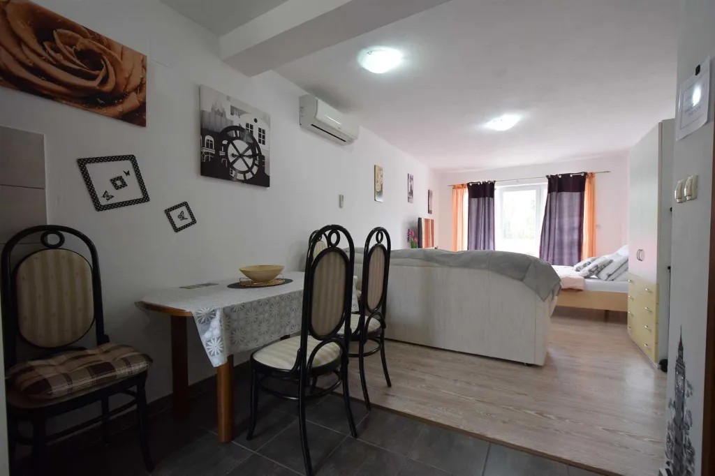 Air-Conditioned Studio Apartment in Rasopasno