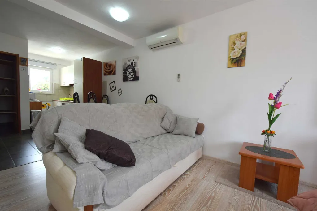 Air-Conditioned Studio Apartment in Rasopasno