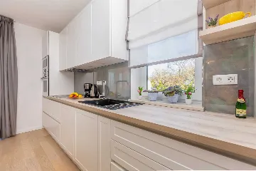 Pool & Jacuzzi Villa for 10 Guests in Malinska - Ljutići