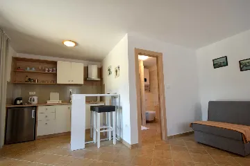 Ground-Floor Studio Apartment for 3 in Skrbčići