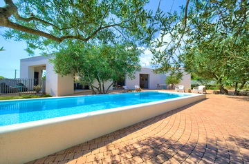 Villa in Linardići for Up to 12 Guests