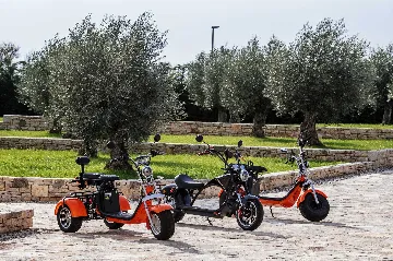 8-Bedroom Villa for 16 Guests in Poljica