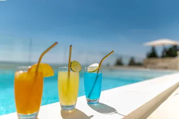 Starigrad Paklenica Villa with Sea View and Private Pool