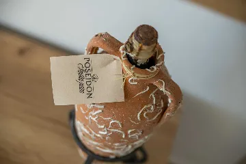 4-Bedroom Villa in Starigrad Paklenica for Up to 10