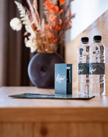 Family Double Room with Bunk Beds in Mislinja