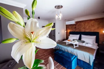 Apartment in Zadar for 2 Guests