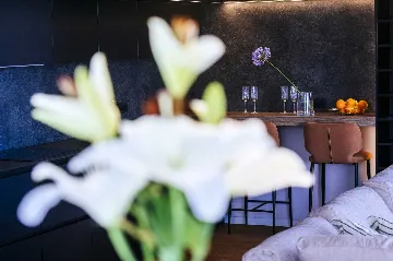 3-Bedroom Apartment in Sukošan for Up to 6