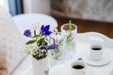 3-Bedroom Apartment in Sukošan for Up to 6