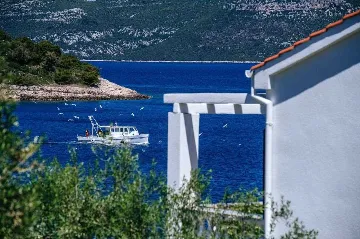 Pool Vacation Home for up to 9 Guests in Mali Iž