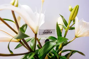 Air-Conditioned 2-Bedroom Apartment in Zadar for 6