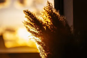 4-Bedroom Villa for up to 10 in Biograd na Moru