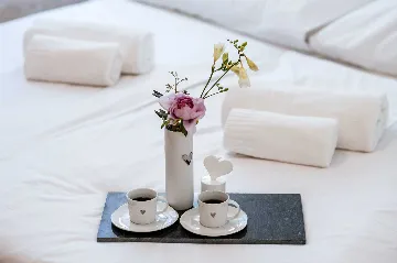 Apartment in Povljana for 6 with Private Pool