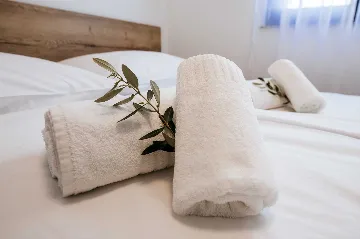 Apartment in Povljana for 6 with Private Pool