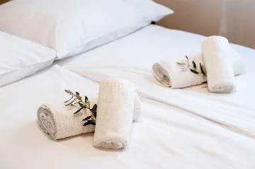 Apartment in Povljana for 6 with Private Pool