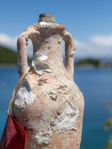 Solo Apartment in Prožurska Luka