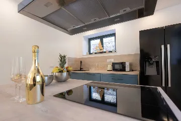 Holiday house with heated pool in Goveđari