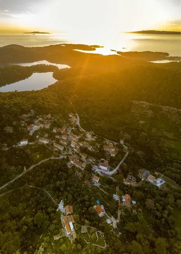 Holiday house with heated pool in Goveđari