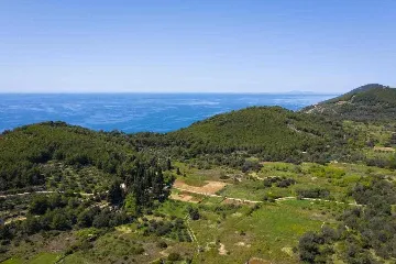 3-Bedroom Villa for 6 Guests in Babino Polje