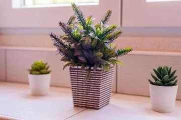 Apartment for 4 Guests in Maranovići, Croatia