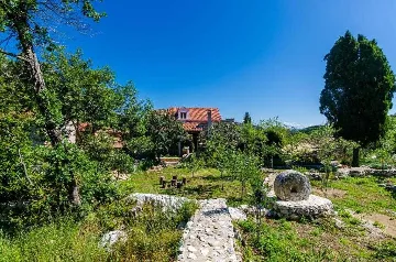 Apartment in Maranovići for Up to 4 Guests