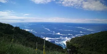 Apartment in Babino Polje for 4 Guests