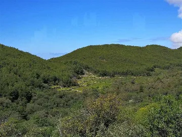 Apartment in Babino Polje for 4 Guests